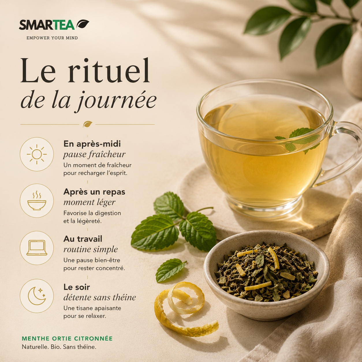 Menthe Ortie Citronnée