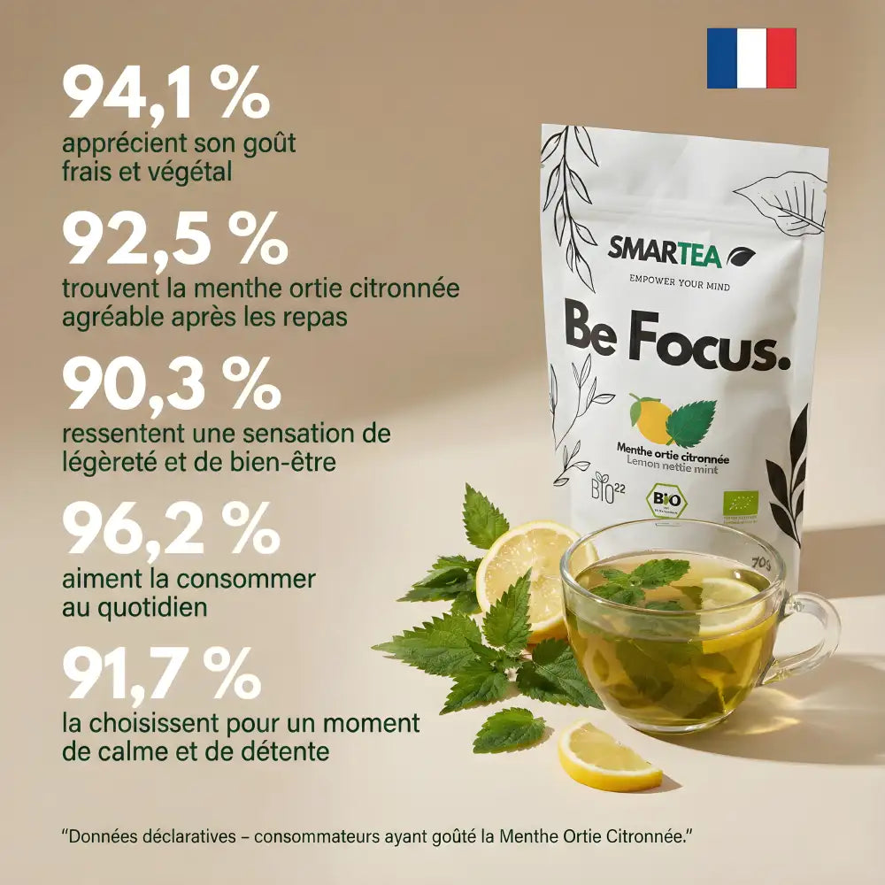 Infusion bio | Menthe Ortie Citronnée | Détox et Bien-être Naturel