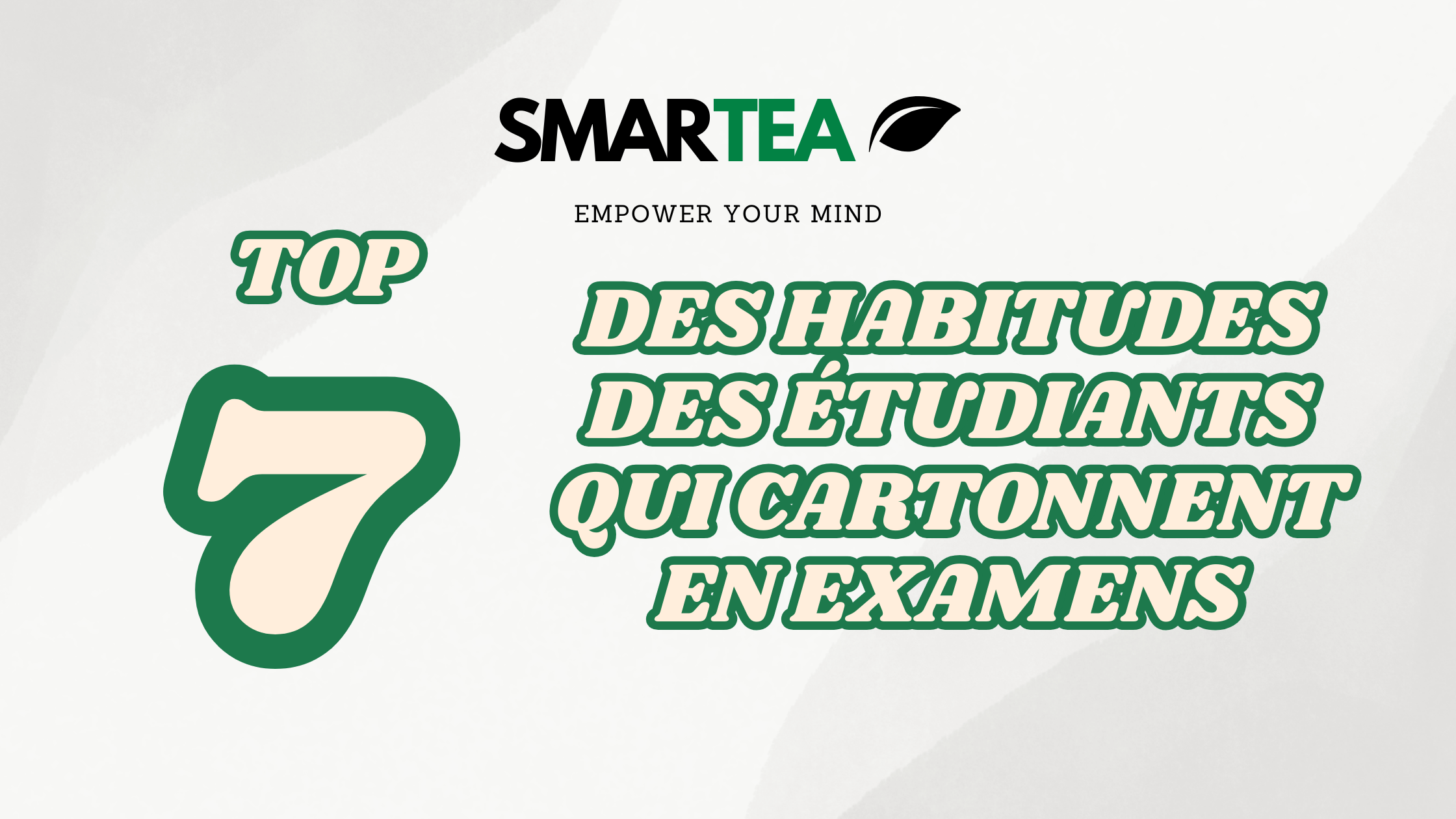 Top 7 des Habitudes des Étudiants Qui Cartonnent en Examens (Et Pourquoi Le Thé Bio en Fait Partie)