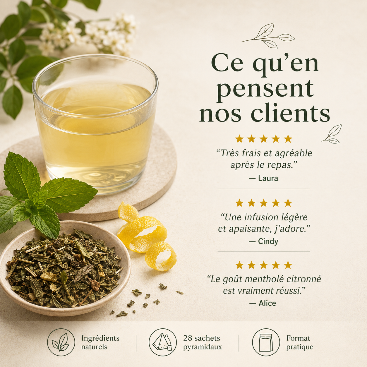 Menthe Ortie Citronnée