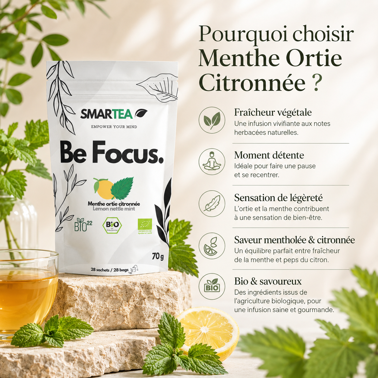 Menthe Ortie Citronnée