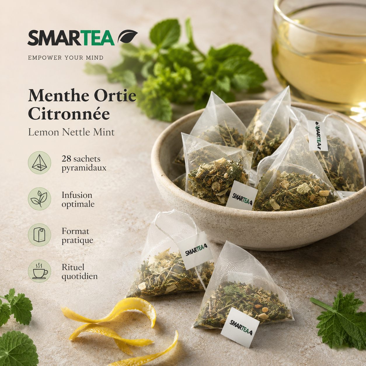 Menthe Ortie Citronnée