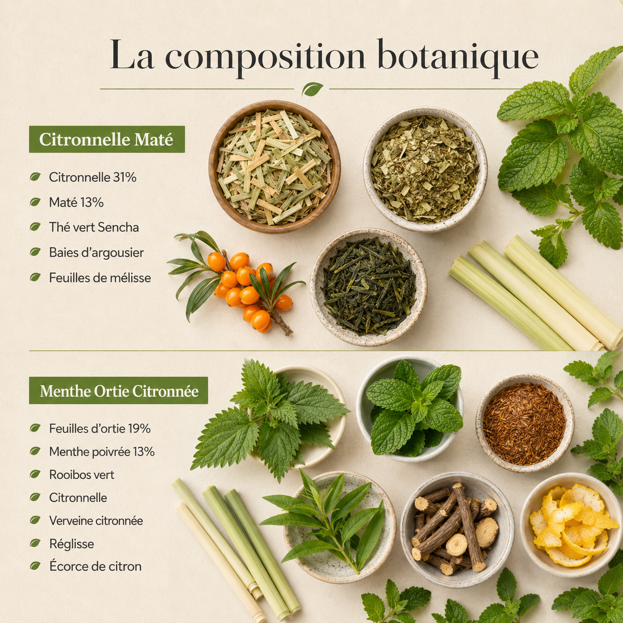 Rituel Focus & Relax- SMARTEA